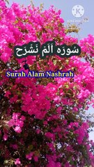 Surah Alm Nashrah | Tilawat quran | Beautiful voice | Learn Quran