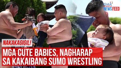 Télécharger la video: NAKAKAGIGIL! Mga cute babies, nagharap sa kakaibang sumo wrestling | GMA Integrated Newsfeed