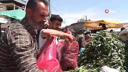 O Türkiye'nin kendi kendine yetişen şifa kaynağı mucizesi