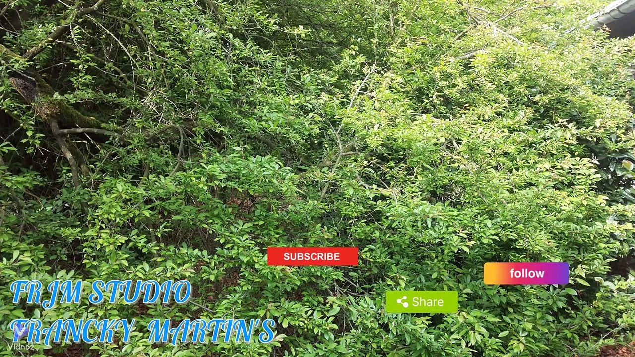 décontraction