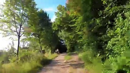 Himmelhof: MTB Lainzer Tiergarten-Strecke (2)