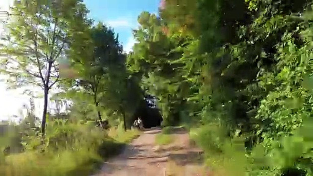 Himmelhof: MTB Lainzer Tiergarten-Strecke (2)