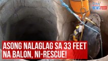 Asong nalaglag sa 33 feet na balon, ni-rescue! | GMA Integrated Newsfeed