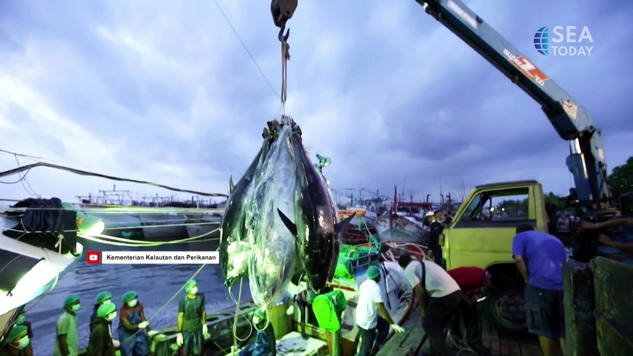 Talkshow with Thilma Komaling & Robert Tjoanda: "World Tuna Day-Sustaining a Vital Marine Resources"