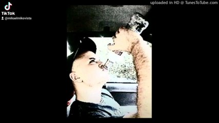 Mikovista - je ramène