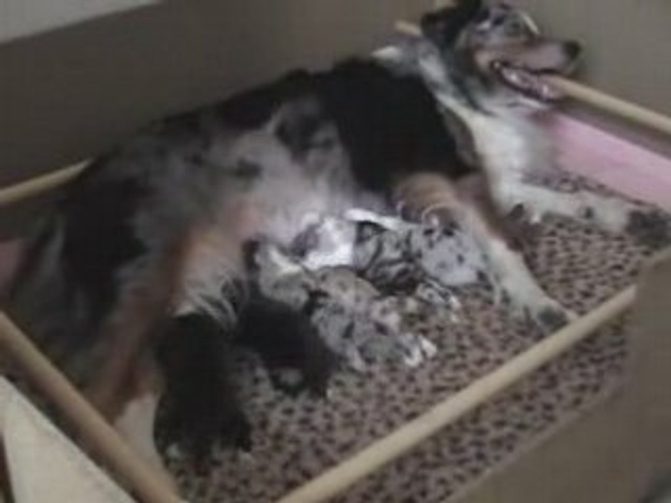 3éme jour de vie des bébés