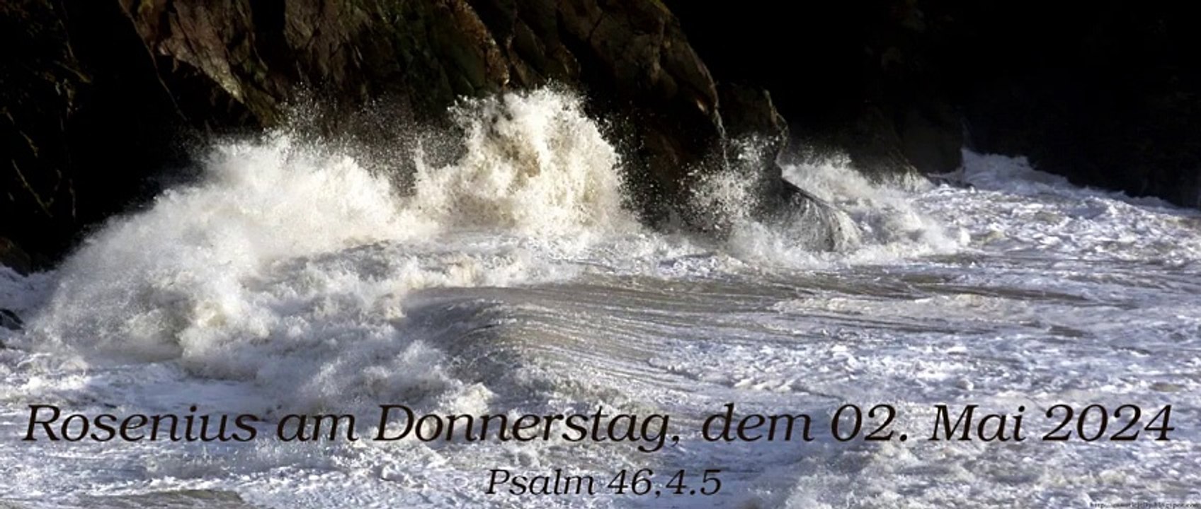 Rosenius am Donnerstag, dem 02. Mai 2024