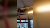 Maltempo a Roma, allerta gialla, «Pioggia anche nell'autobus Atac linea 38»