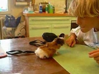 tichka bébé devoirs alexandre