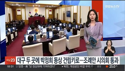 대구 두 곳에 박정희 동상 건립키로…조례안 시의회 통과