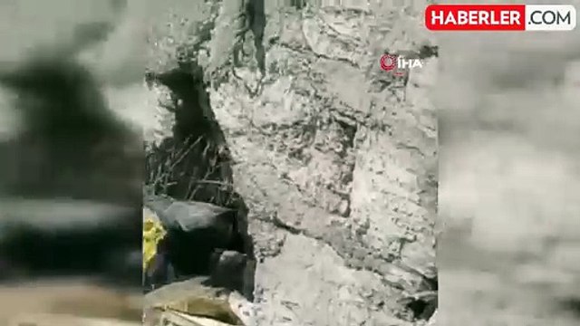 Yüksekova'da sürü halinde yılanlar görüntülendi