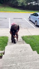 Pure Puppy Joy! |  This Pup Can't Contain Herself!