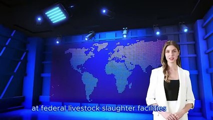 USDA Investigates Beef Amid Bird Flu Outbreak: Supply Still Safe