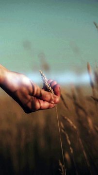 Poetry in Urdu Hindi | Qasid ny Kaha yad Wo Karty Hain apko | قاصد نے کہا یاد وہ کرتے ہیں آپ کہ Weird stories | Urdu Hindi | #weirdstories #urdupoetry #poetry #shairy #viralpoetry #sadurdupoetry #trendingurdupoetry