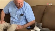 Video. Il nonno non ama i gatti, ma deve occuparsi di una gattina per una settimana: ecco come va a finire