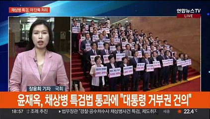 '채상병 특검법' 야 단독 처리…여 "거부권 건의"