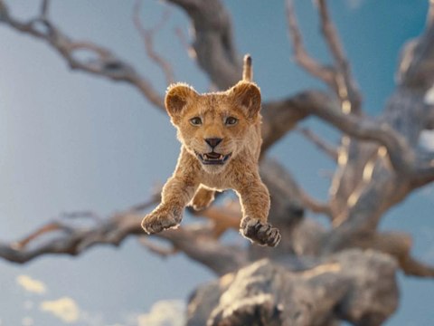 Mufasa: The Lion King (Mufasa: Le Roi Lion): Trailer HD VO st FR/NL