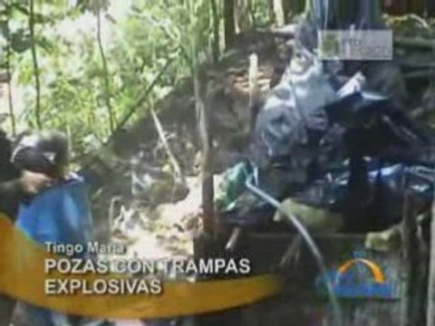 POZAS CON TRAMPAS EXPLOSIVAS - TINGO MARÍA
