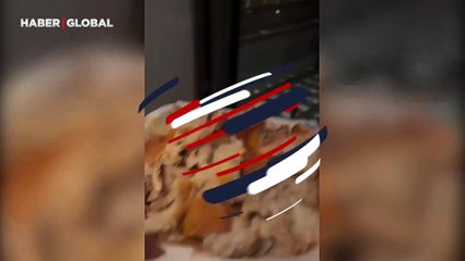 Kendisine yemek veren makinisti sevinçle karşılayan köpek viral oldu