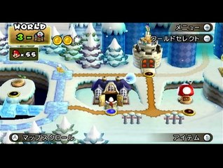 New Super Mario Bros.Wii 36