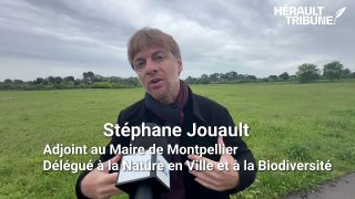 Interview de Stéphane Jouault adjoint au maire de Montpellier