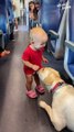 Train Ride Buddies! Toddler's Giggles & Playful Pup Melt Hearts