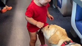 Train Ride Buddies! Toddler's Giggles & Playful Pup Melt Hearts