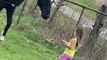 Little Girl Offers Treats to Horse