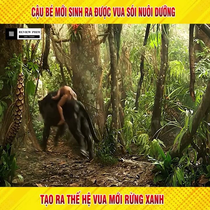 Review Phim - Cậu Bé Mới Sinh Ra Được Vua Sói Nuôi Dưỡng, Tạo Ra Thế Hệ Vua Mới rừng xanh.