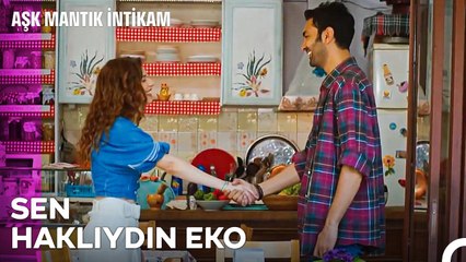 Her Şey Yeniden Başlasın - Aşk Mantık İntikam