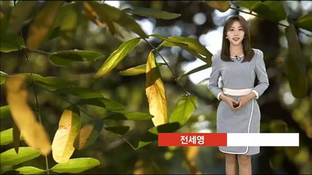 [날씨] 내일 다시 초여름 더위…출근길 안개 주의