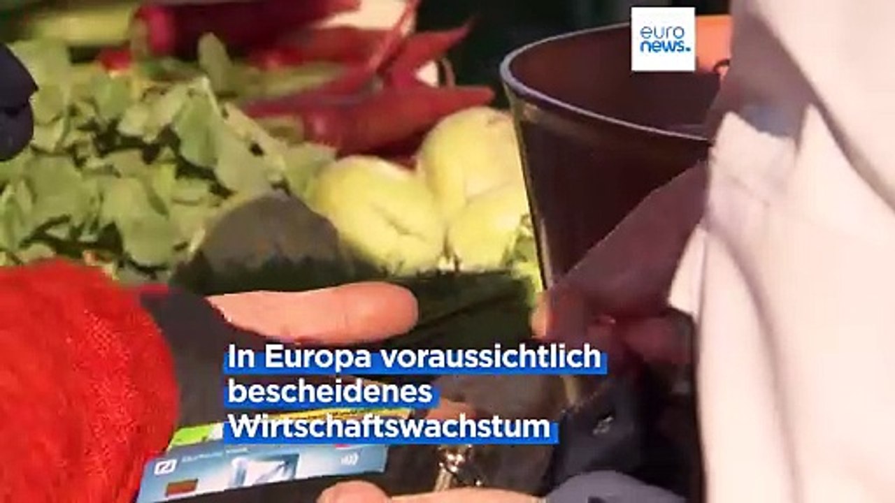 OECD-Wirtschaftsausblick: Stetiges globales Wachstum für 2024 und 2025 erwartet