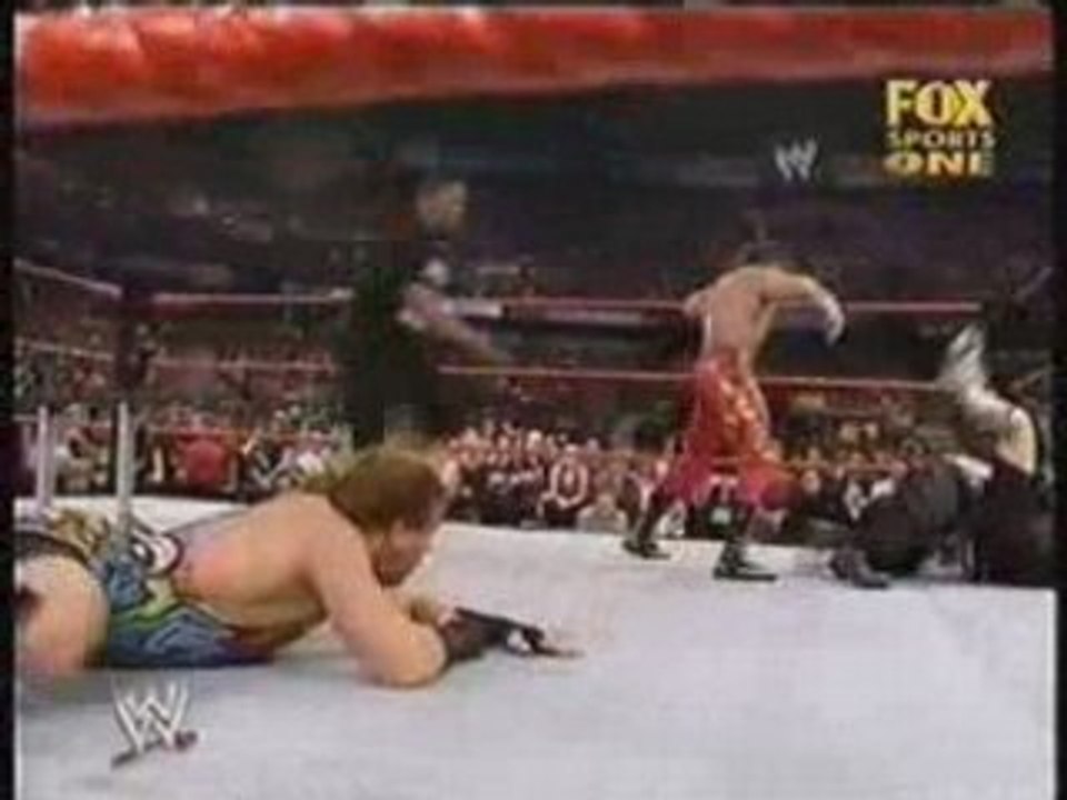 WWE - Pushed Off the Ladder by a Fan On Raw 5-27-02