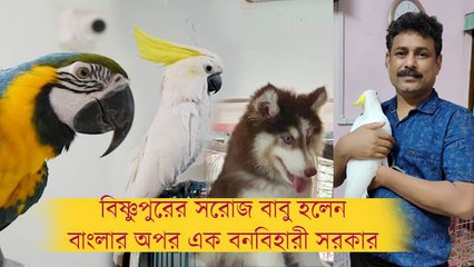 এক ঘরেই বাস কাকাতুয়া, খরগোসের! সঙ্গী হাসকি-ম্যাকাও! বিষ্ণুপুরের সরোজ যেন "বনবিহারী'