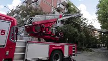 Roma, albero crolla in via Latina per il maltempo: appartamenti evacuati per precauzione