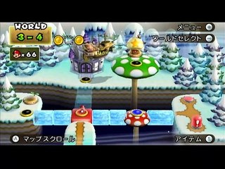 New Super Mario Bros.Wii 39