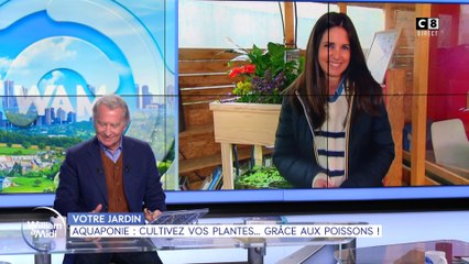 Votre jardin : Aquaponie, cultivez vos plantes... Grâce aux poissons !