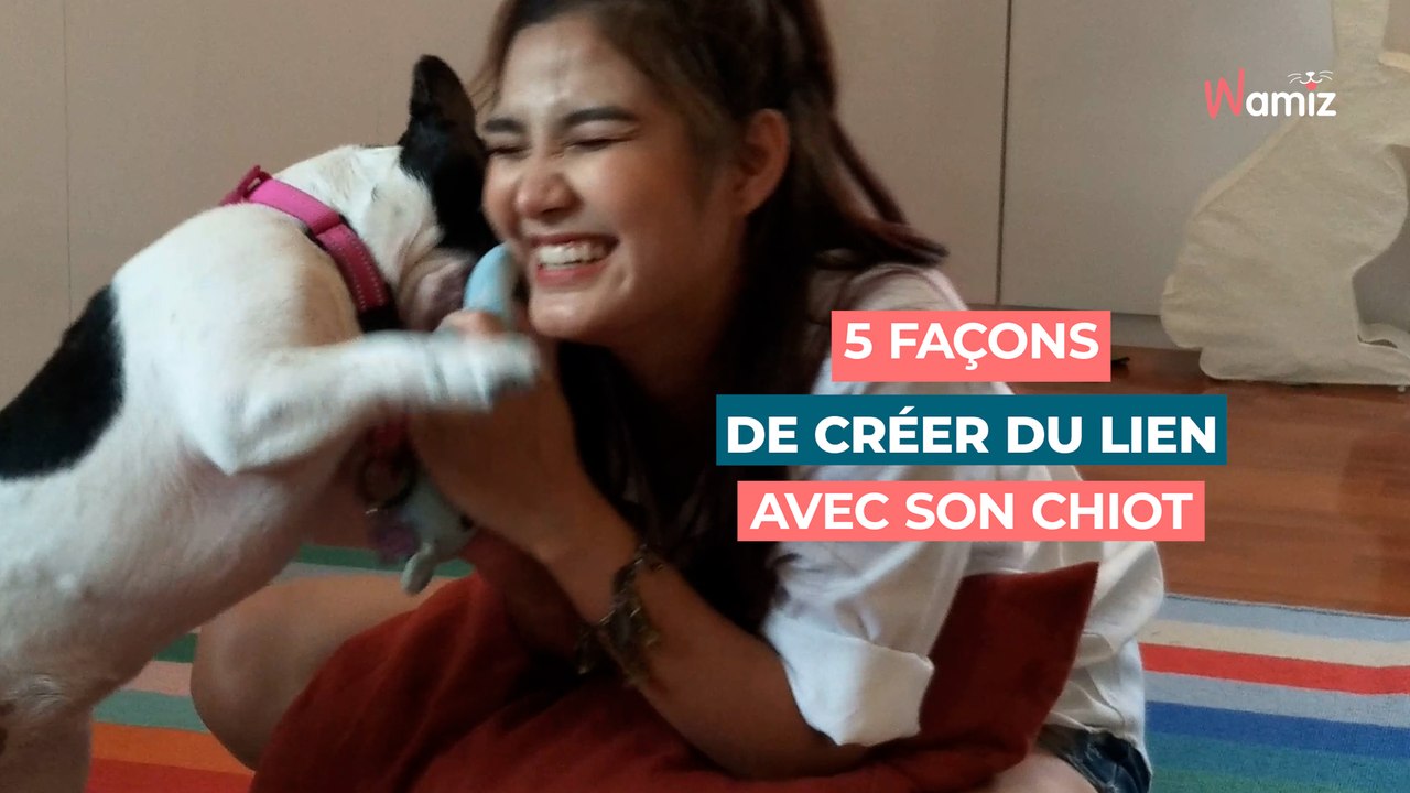 Les 5 meilleures façons de créer du lien avec son chiot