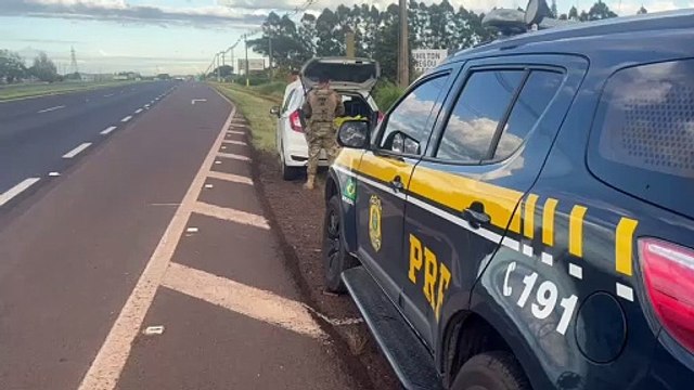 Maconha apreendida pela PRF na BR-277 totalizou 501 kg