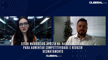 Setor madeireiro aposta na rastreabilidade para aumentar competitividade e reduzir desmatamento