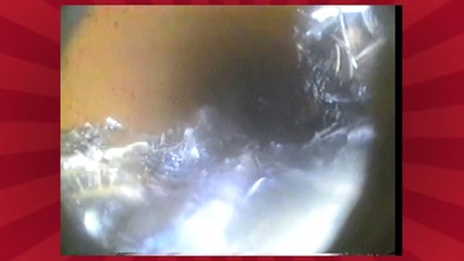 How to Unclog a Toilet - Tips from Mr. Rooter Plumbing