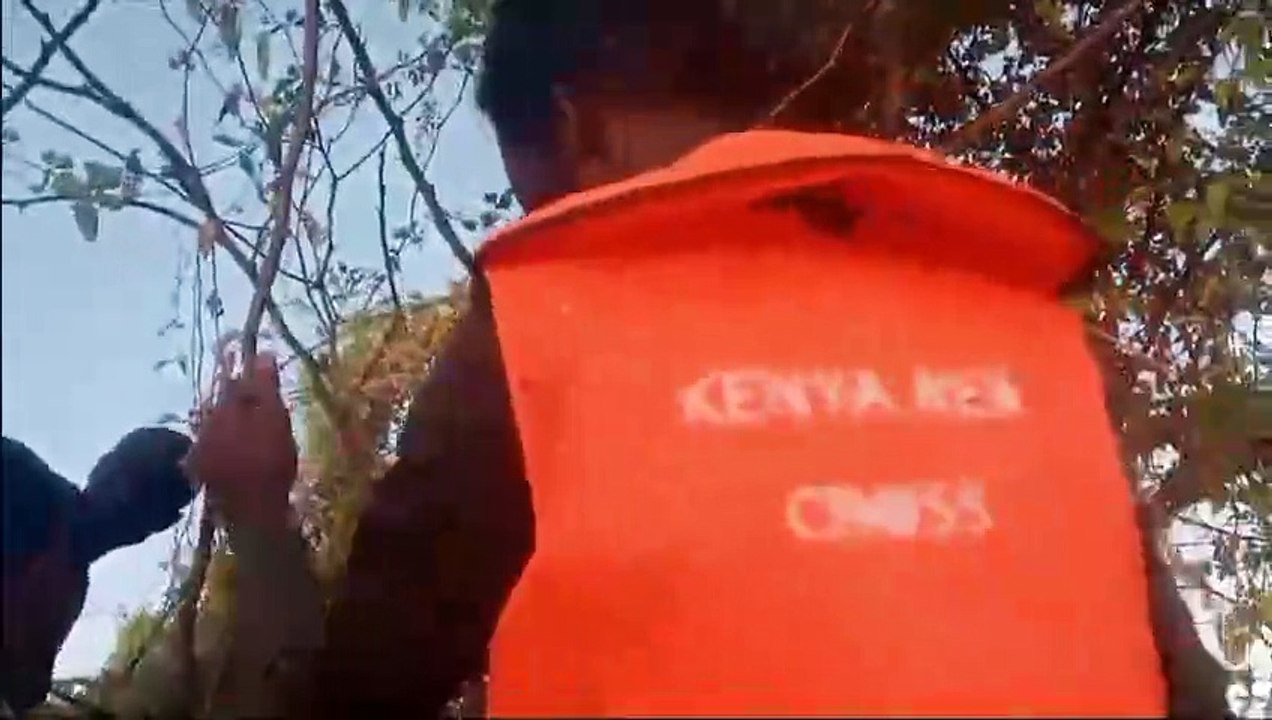 Inondations au Kenya: La Croix-Rouge sauve un homme coincé dans un arbre depuis cinq jours
