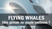 Flying Whales : Idée géniale ou utopie coûteuse ?