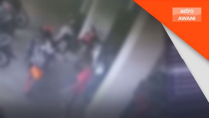 DVS Selangor buka kertas siasatan kes bakar kucing