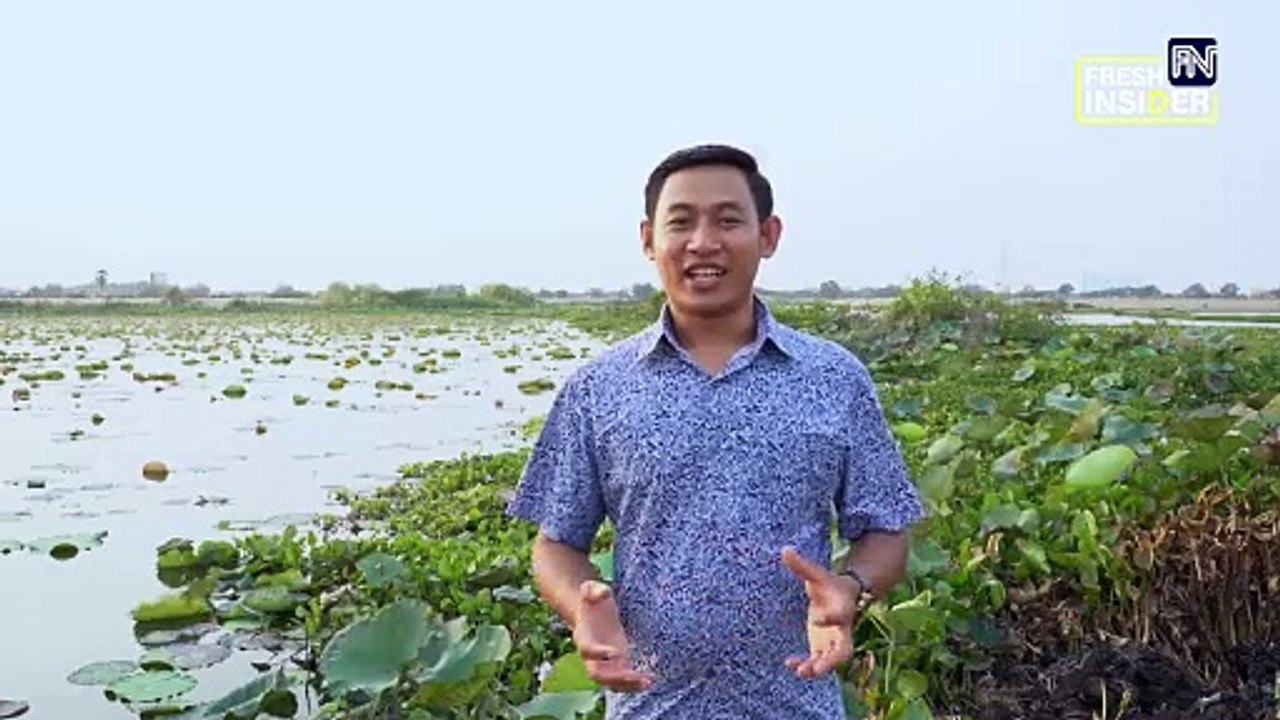 តើប្រាក់រៀលបង្កើតឡើងតាំងពីពេលណា