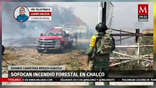 Logran extinguir incendio forestal en Chalco, Edomex