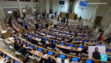 Georgia: por qué la ley de agentes extranjeros preocupa a EE. UU y la Unión Europea