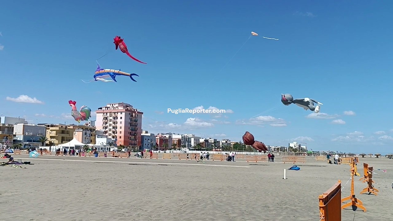 Festival degli Aquiloni a Margherita di Savoia: tutti i video dell'edizione 2024