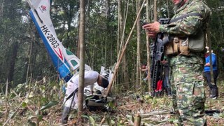Así fue la estrategia de los niños indígenas para sobrevivir en la selva del Guaviare tras accidente aéreo