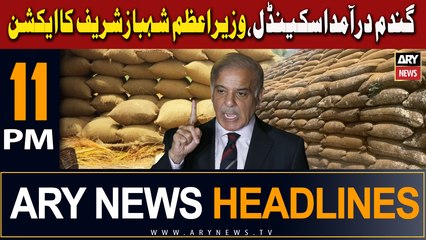 ARY News 11 PM Headlines | 2nd May 2024 | Wazir-e-Azam Shahbaz Sharif Ka Action